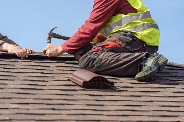 Best Roof Maintenance Services  in Matteson, IL