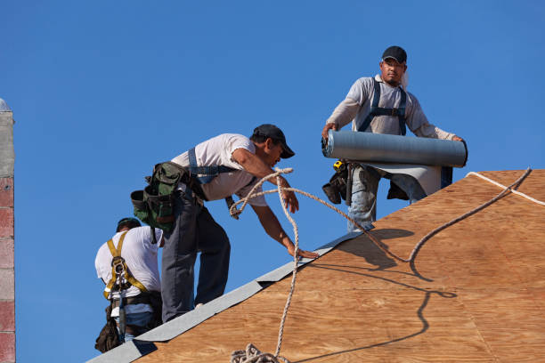 Best Local Roofing Companies  in Matteson, IL